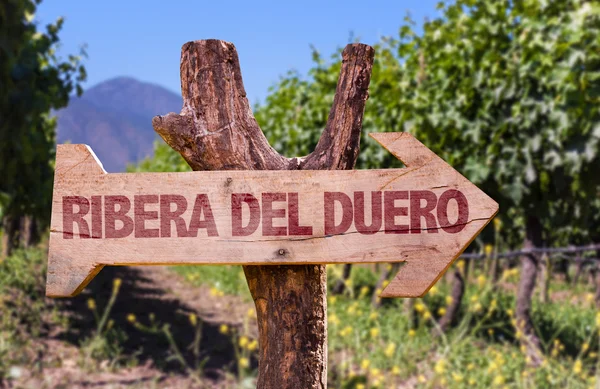 España signo de madera — Foto de Stock