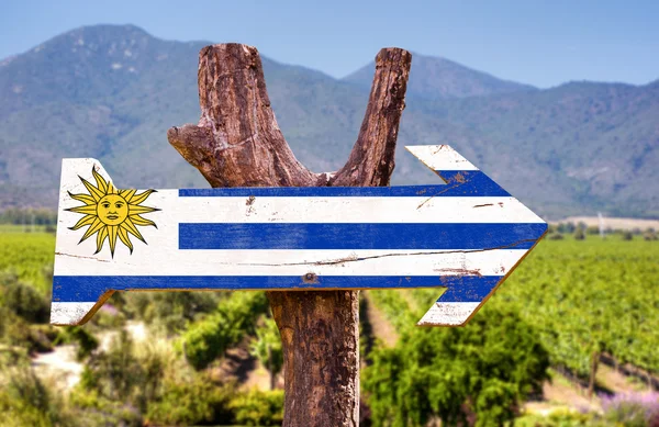 Uruguay vlag houten teken — Stockfoto