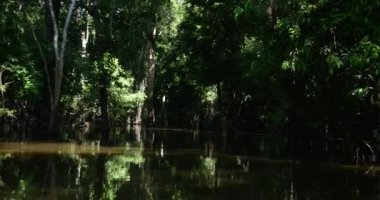 Rio Negro içinde seyahat