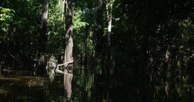 Rio Negro içinde seyahat