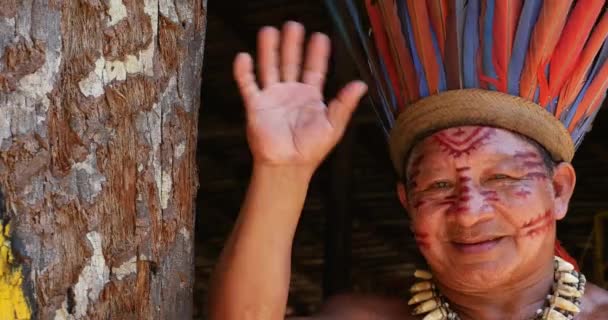 Inhemska brasilianska på en inhemsk stam — Stockvideo