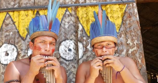 Brasileños nativos tocando flautas de madera — Vídeos de Stock