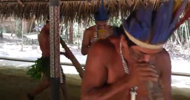 Indian tribe ritual in Amazon — Stock Video