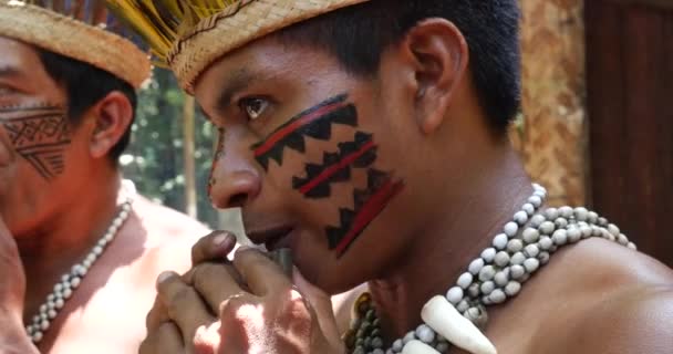 Nativo brasileiro tocando flauta de madeira — Vídeo de Stock