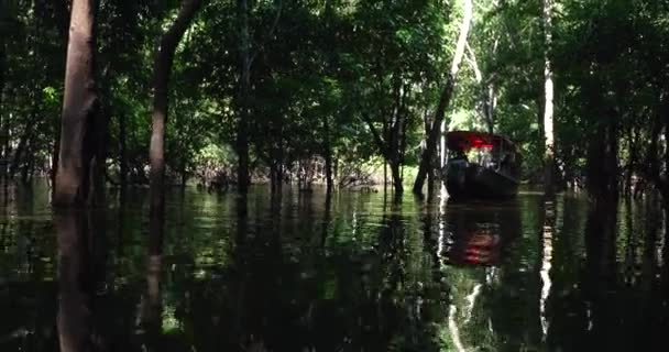 Reizen in Rio Negro — Stockvideo