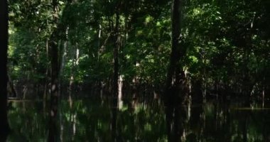 Rio Negro içinde seyahat