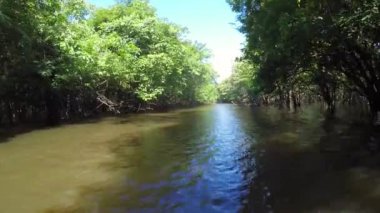 amazon Nehri, tekne turu