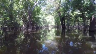 amazon Nehri, tekne turu