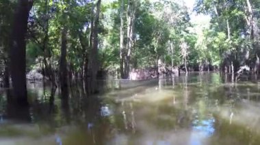 amazon Nehri, tekne turu