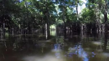 amazon Nehri, tekne turu