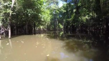 amazon Nehri, tekne turu