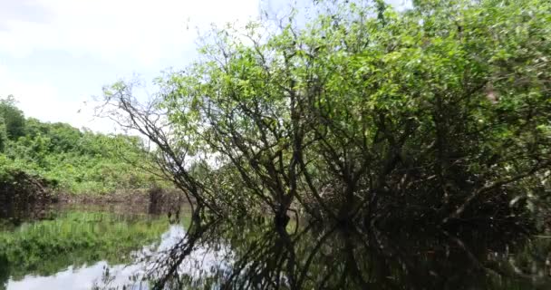 Viajar em Rio Negro — Vídeo de Stock