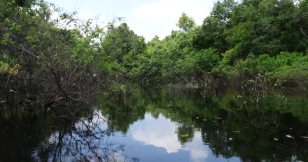 Reizen in Rio Negro — Stockvideo