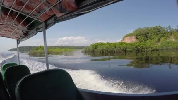 リオ ・ ネグロ川を旅行します。 — ストック動画