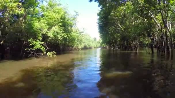 Excursion en bateau sur l'Amazone 
