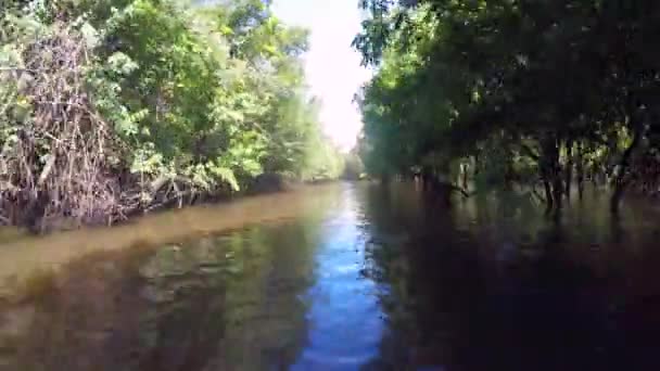 Paseo en barco por el río Amazonas — Vídeos de Stock