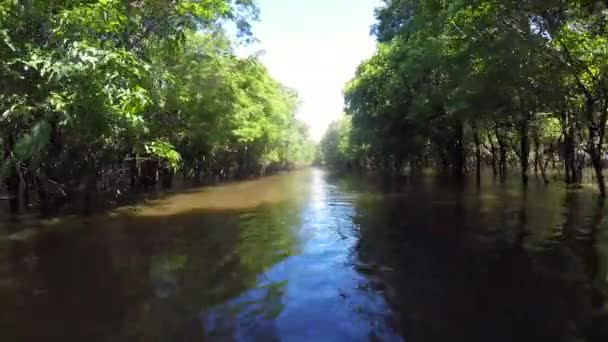 Paseo en barco por el río Amazonas — Vídeo de stock