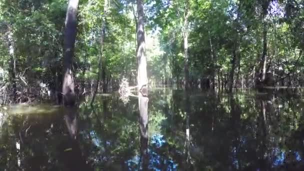 Båttur på floden Amazonas — Stockvideo