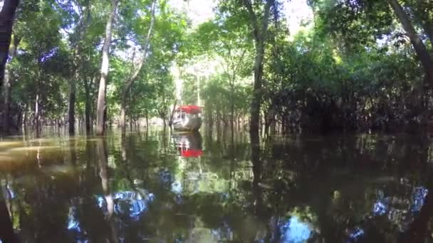 Paseo en barco por el río Amazonas — Vídeos de Stock