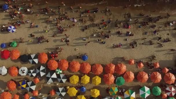 Ponta Negra Bech og Manaus – Stock-video