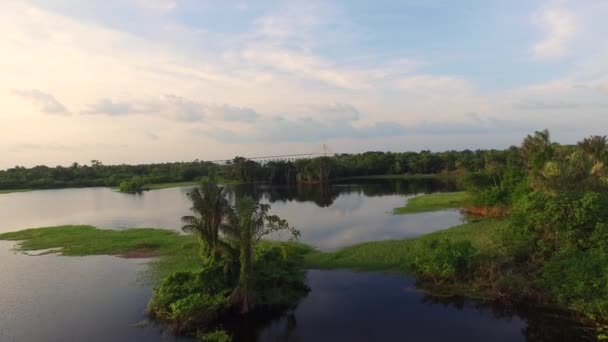 Amazonfloden, Brasilien — Stockvideo