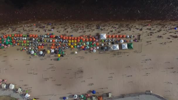 Playas de Ponta Negra, Manaus — Vídeo de stock