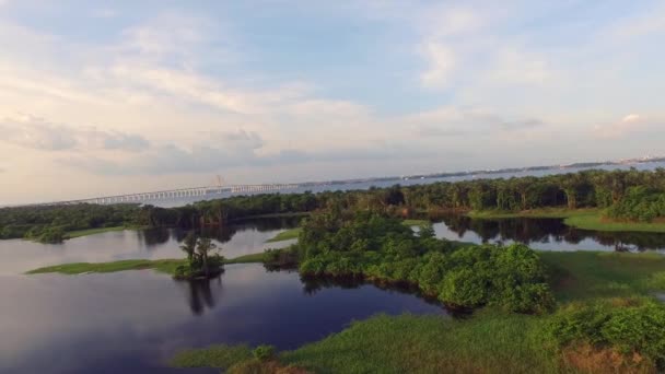 Amazon River, Brazil — Stock Video