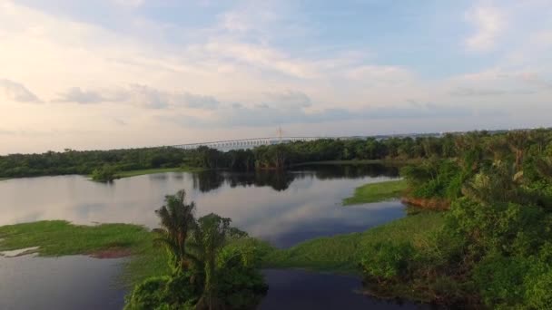 Amazonas regnskog i Brasilien — Stockvideo