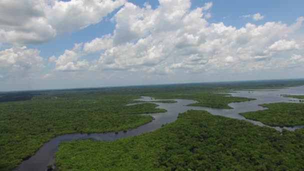 Amazzonia foresta pluviale in Brasile — Video Stock