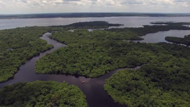 Selva Amazónica en Brasil — Vídeos de Stock