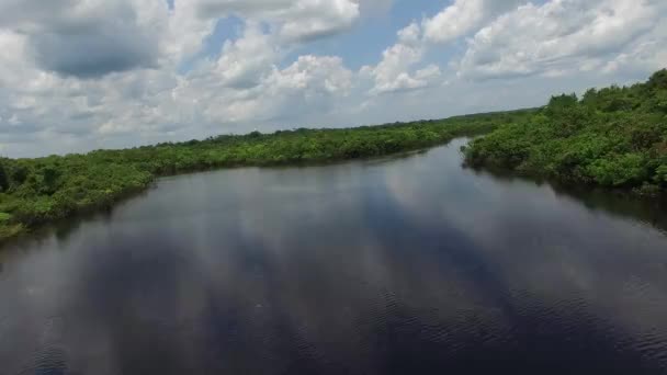 Amazoneregenwoud in Brazilië — Stockvideo