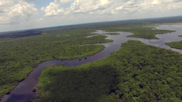 Hutan hujan Amazon di Brasil — Stok Video