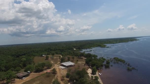 Река Амазонки, Манхэттен, Бразилия — стоковое видео