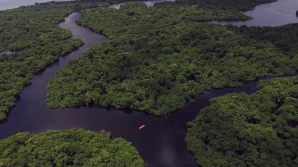 Luchtfoto Shot van Amazone regenwoud — Stockvideo