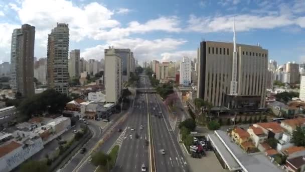 Flygfoto över Ibirapuera-parken — Stockvideo