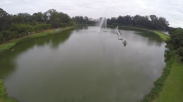 Vista aérea del Parque Ibirapuera — Vídeo de stock