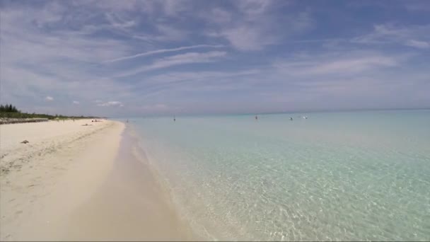 Människor avkopplande i en strand — Stockvideo