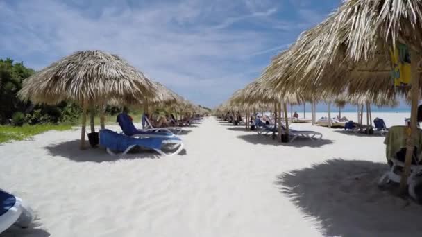 Människor avkopplande i en strand — Stockvideo