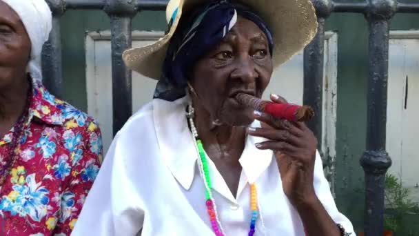 Kubańczycy palenia cygar — Wideo stockowe