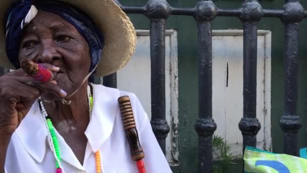 A dohányzás kubai szivar — Stock videók