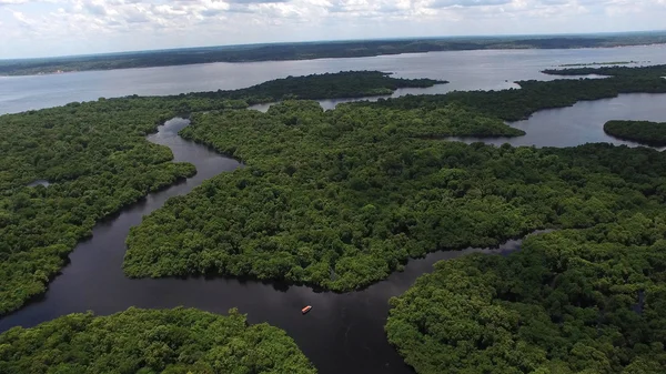 Amazon rainforest w Brazylii — Zdjęcie stockowe