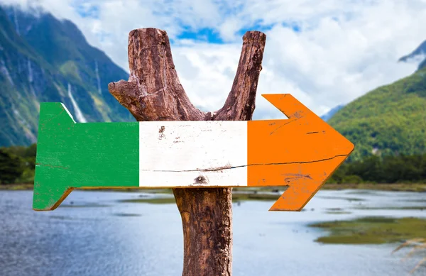 Irlande Drapeau signe en bois — Photo