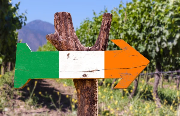 Flaga Irlandii drewniany znak — Zdjęcie stockowe
