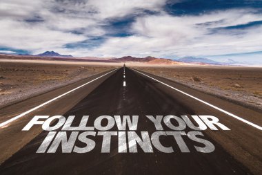 Follow Your Instincts on road clipart