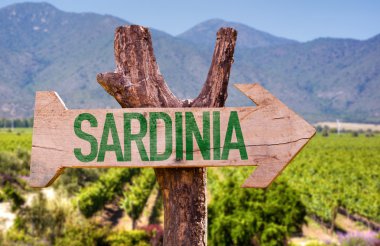 Sardunya ahşap işareti