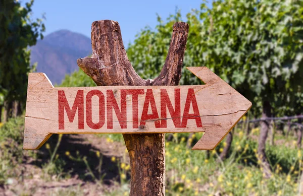 Montana houten teken — Stockfoto