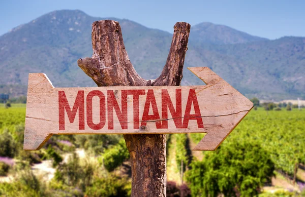 Montana wooden sign — Stock Photo, Image