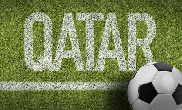 Katar míč v poli — Stock fotografie