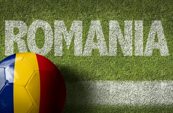 Rumänien boll i fältet — Stockfoto