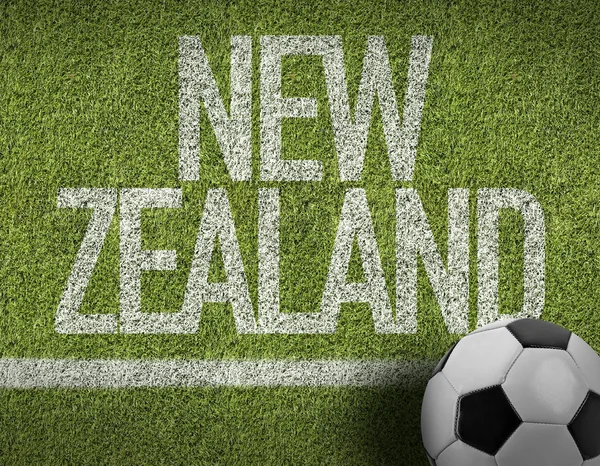 Новозеландский мяч в поле — стоковое фото